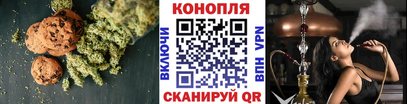 как найти   Горно-Алтайск  Cannafood конопля 