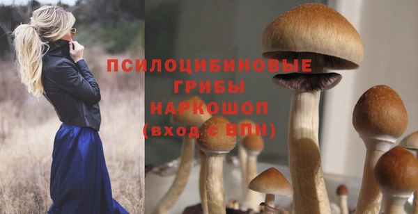 Альфа ПВП Балахна