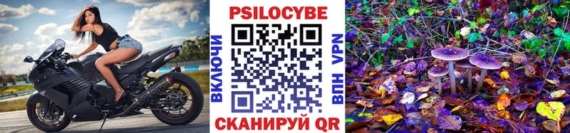 Псилоцибиновые грибы Psilocybine cubensis  OMG рабочий сайт  Горно-Алтайск  наркошоп 
